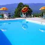 In Tuscany Near Vineyards Поппи