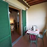 In Tuscany Near Vineyards Поппи