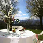 In Tuscany Near Vineyards * Поппи