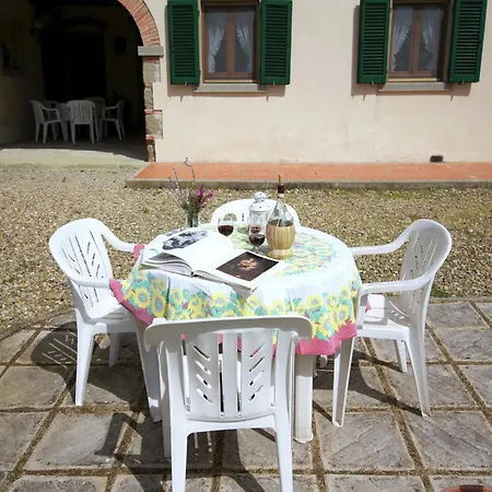 In Tuscany Near Vineyards *