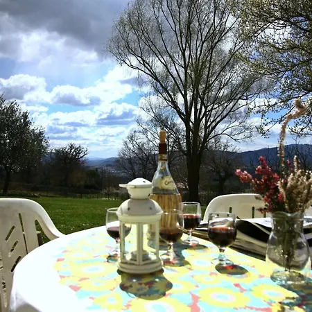 In Tuscany Near Vineyards *